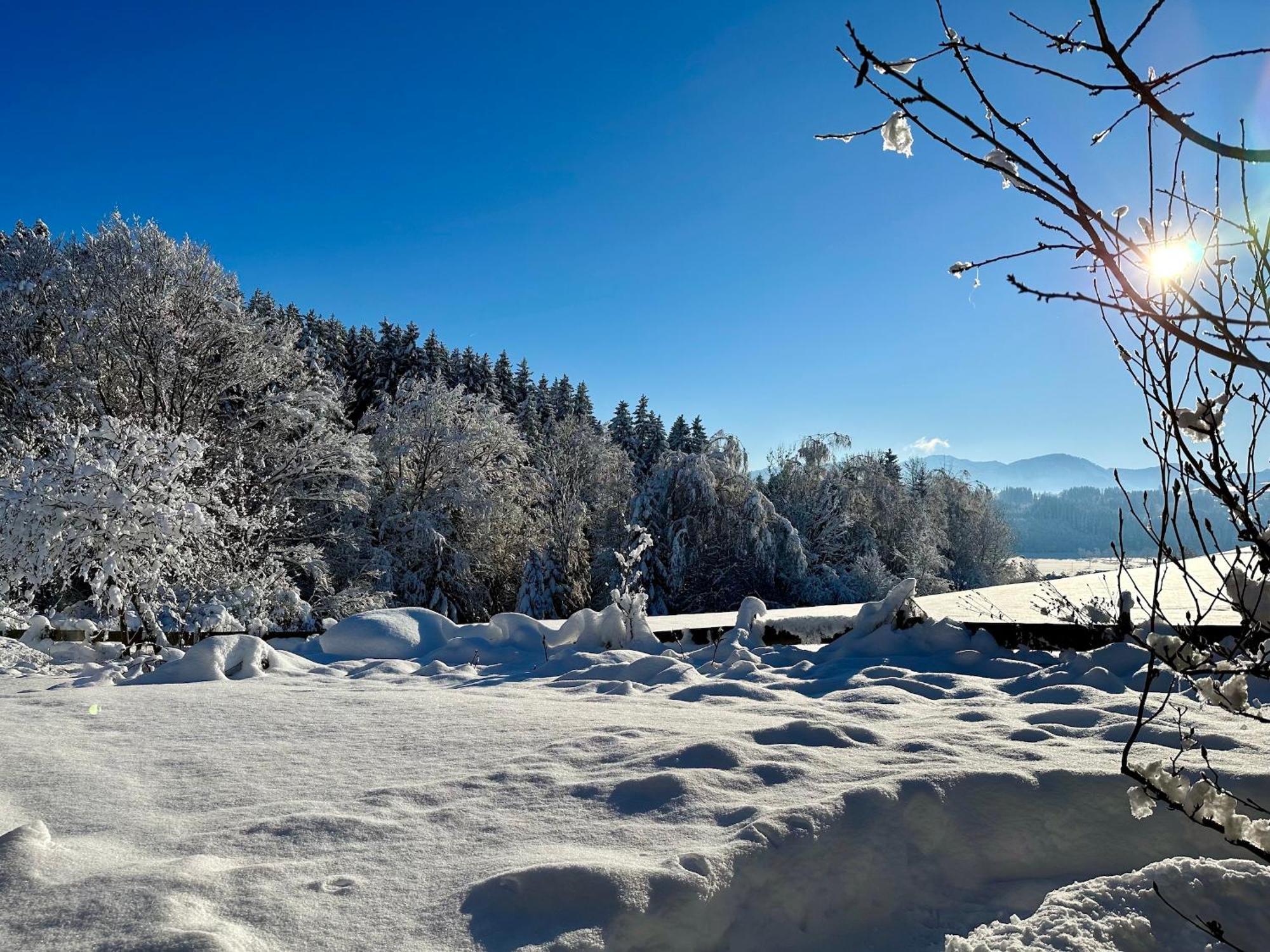 Vila Landsitz Rocky Docky Niedersonthofen Exteriér fotografie