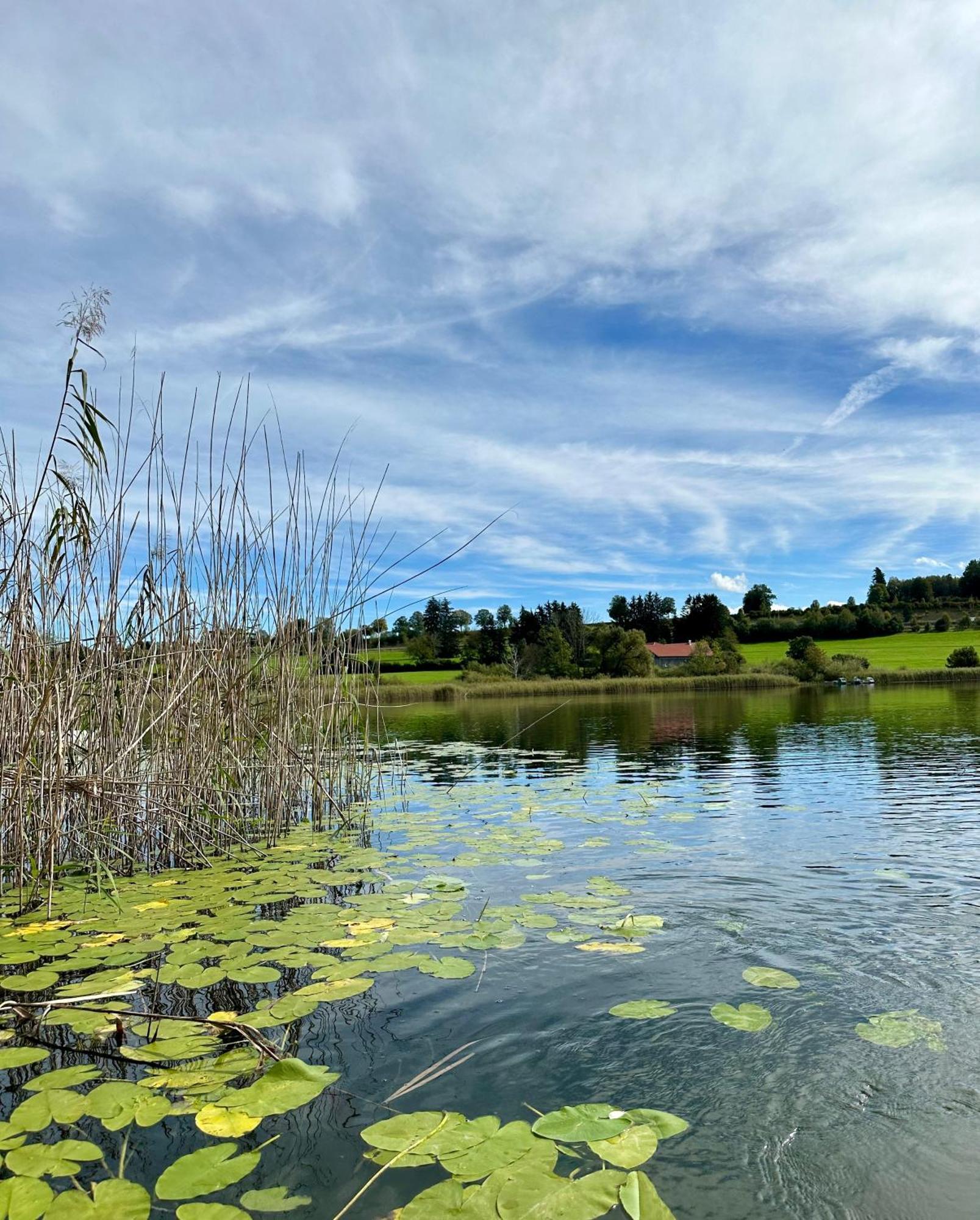 Vila Landsitz Rocky Docky Niedersonthofen Exteriér fotografie